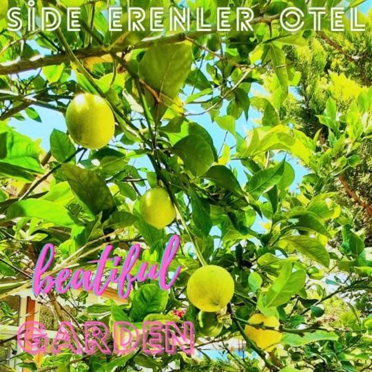 Side Erenler Hotel Zewnętrze zdjęcie